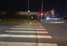 Фото Госавтоинспекции