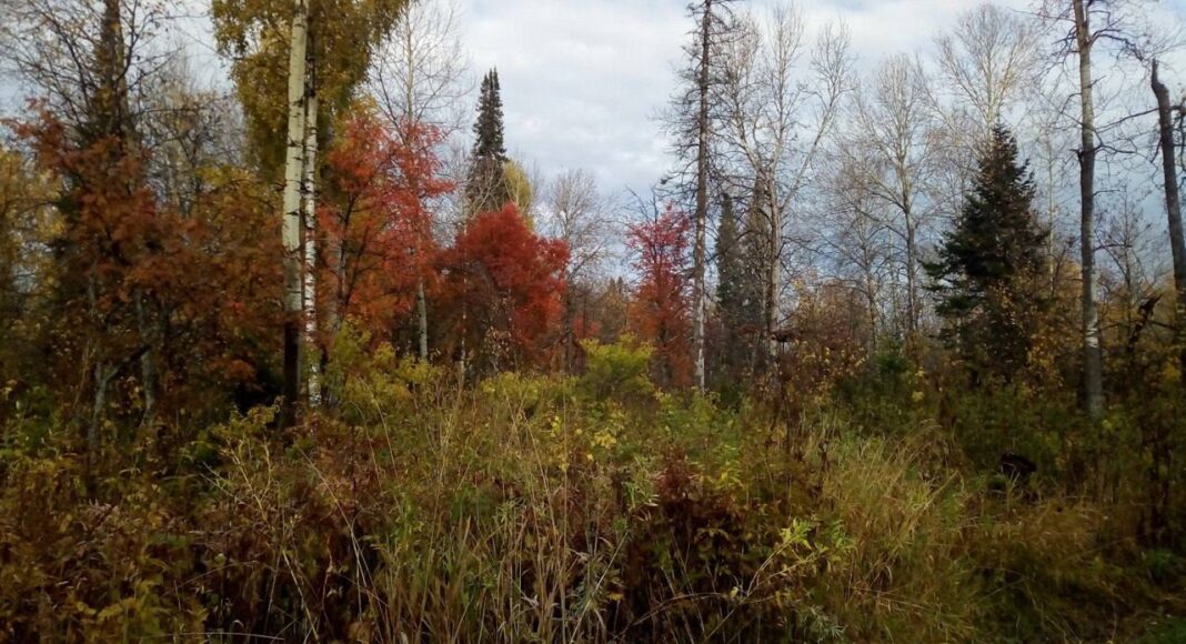 Фото ГСУ СК