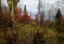 Фото ГСУ СК