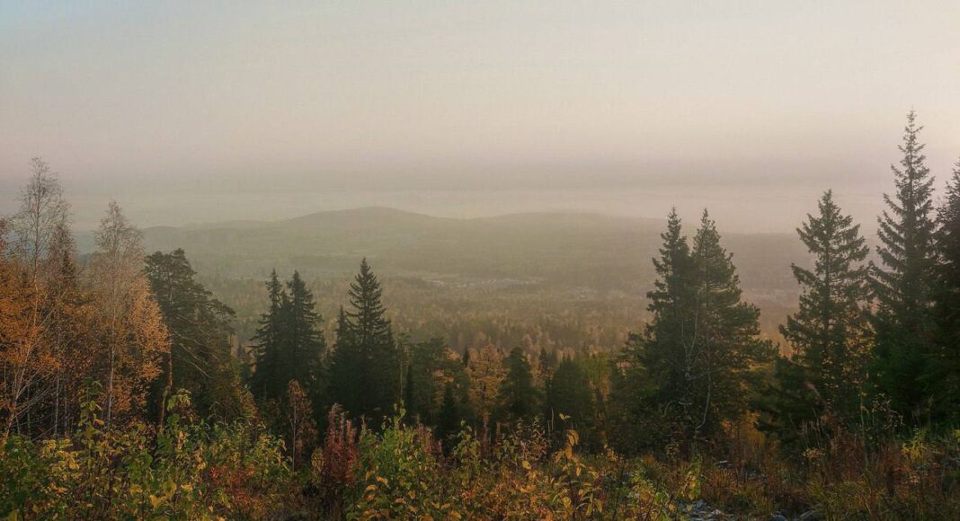 Фото ГСУ СК