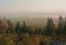 Фото ГСУ СК