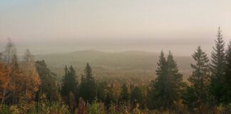 Фото ГСУ СК