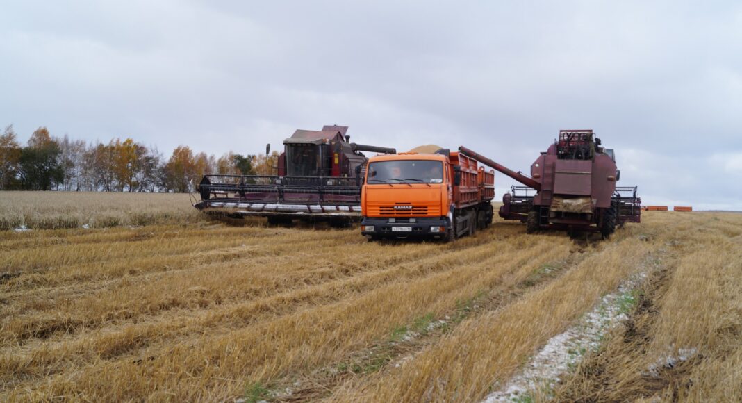 Фото из телеграм-канала Минсельхозпрода РХ