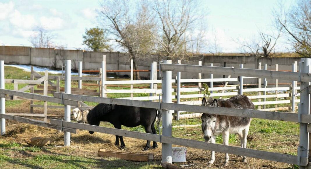 Фото из телеграм-канала главы РХ Фото из телеграм-канала главы РХ