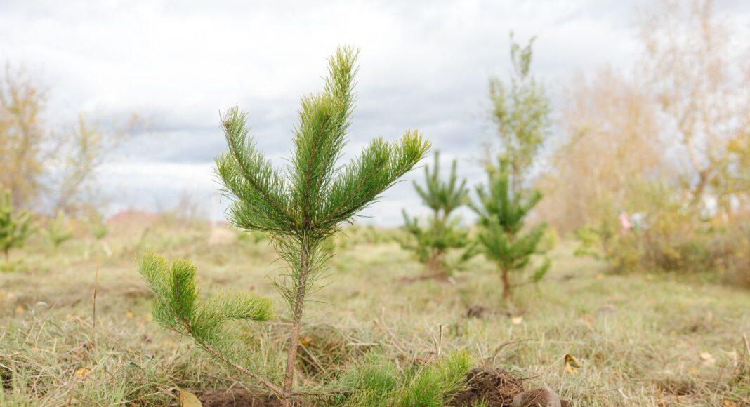 Фото из телеграм-канала СГК