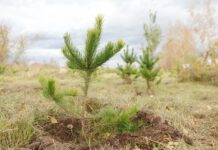 Фото из телеграм-канала СГК