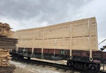 Фото из телеграм-канала Россельхознадзора РХ