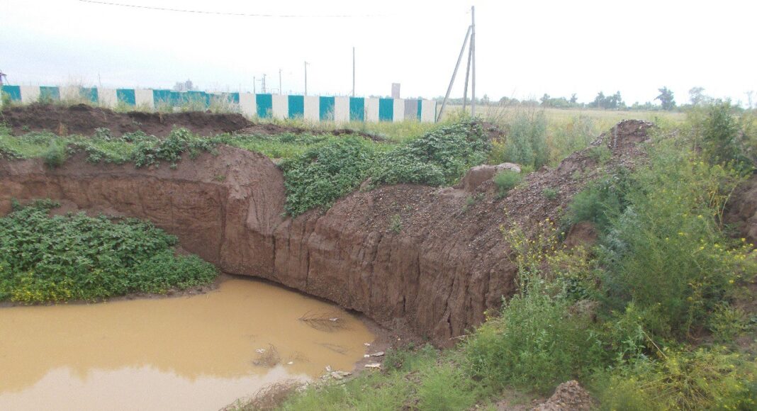 Фото из телеграм-канала Россельхознадзора РХ