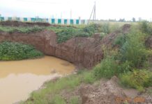 Фото из телеграм-канала Россельхознадзора РХ