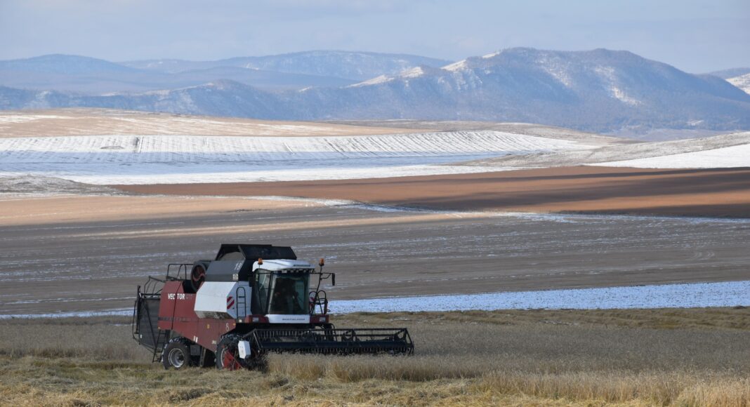 Фото из телеграм-канала Минсельхозпрода РХ