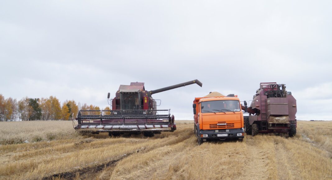 Фото из телеграм-канала Минсельхозпрода РХ