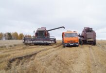 Фото из телеграм-канала Минсельхозпрода РХ