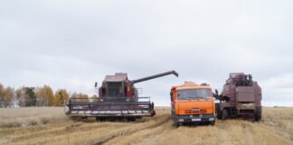 Фото из телеграм-канала Минсельхозпрода РХ