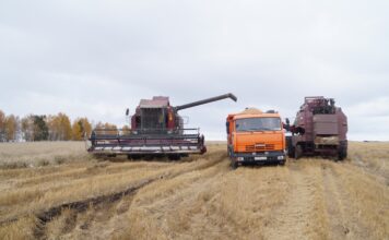 Фото из телеграм-канала Минсельхозпрода РХ