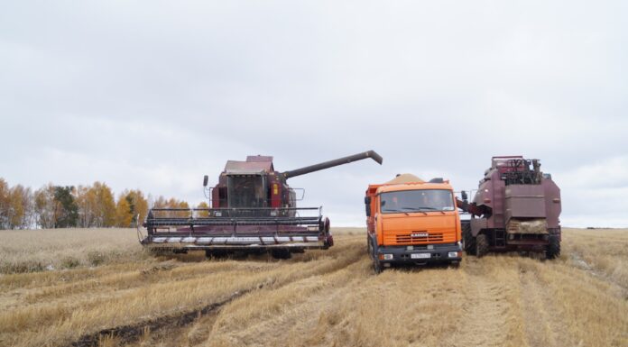 Фото из телеграм-канала Минсельхозпрода РХ