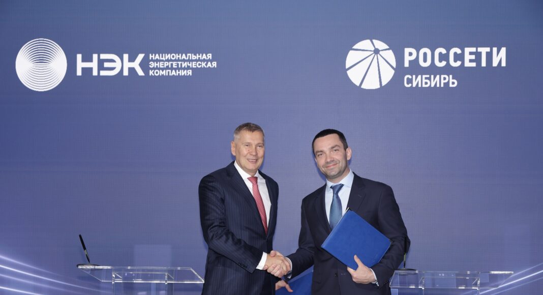 Фото предоставлено пресс-службой «Россети Сибирь»