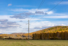 Фото предоставлено пресс-службой «Россети Сибирь»