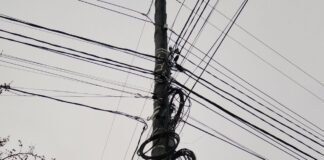 Фото предоставлено пресс-службой «Россети Сибирь»