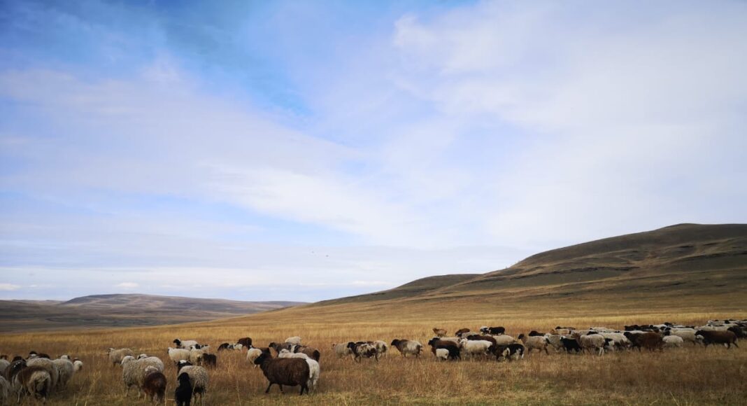 Боярская писаница. Фото предоставил Иван Кукарцев
