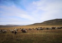 Боярская писаница. Фото предоставил Иван Кукарцев