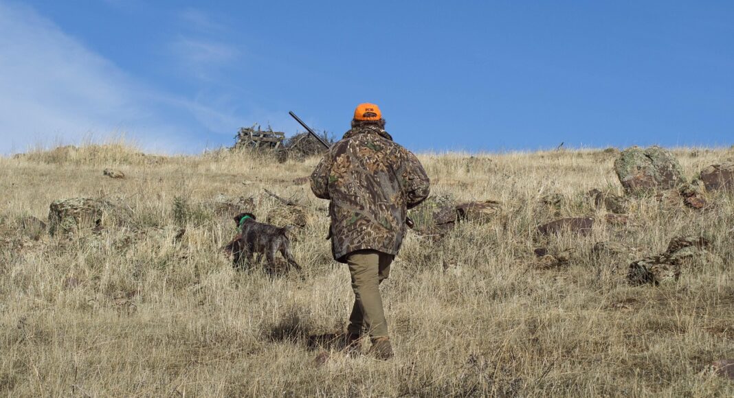 охота, охотник