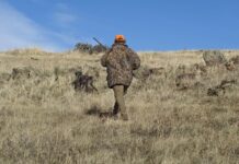 охота, охотник