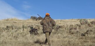 охота, охотник