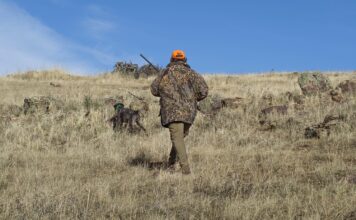 охота, охотник