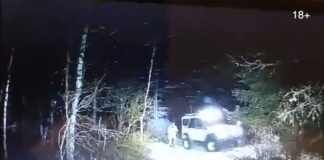 Кадр съемки Минприроды РХ