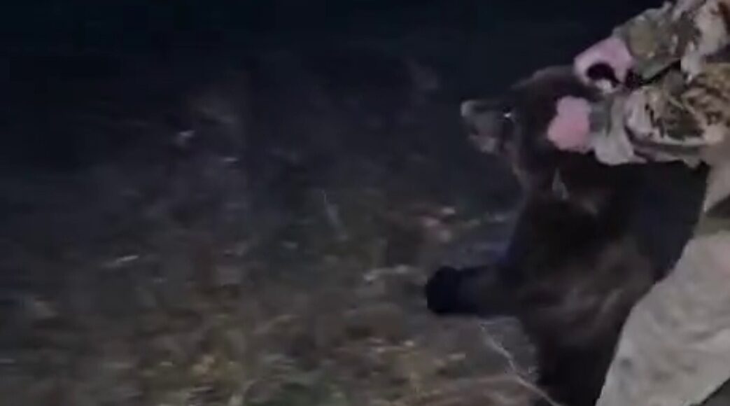 Кадр съемки Минприроды РХ