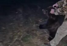 Кадр съемки Минприроды РХ