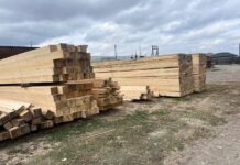 Лес, доски, пиломатериал. Фото: pulse19.ru