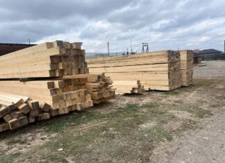 Лес, доски, пиломатериал. Фото: pulse19.ru