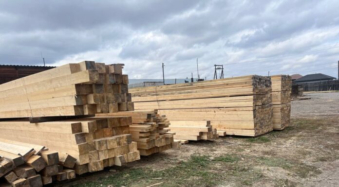 Лес, доски, пиломатериал. Фото: pulse19.ru