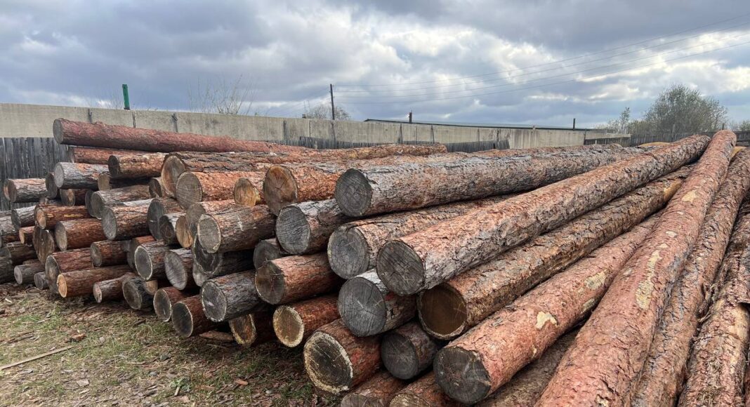 Лес, брус, пиломатериал. Фото: pulse19.ru Лес, брус, пиломатериал. Фото: pulse19.ru