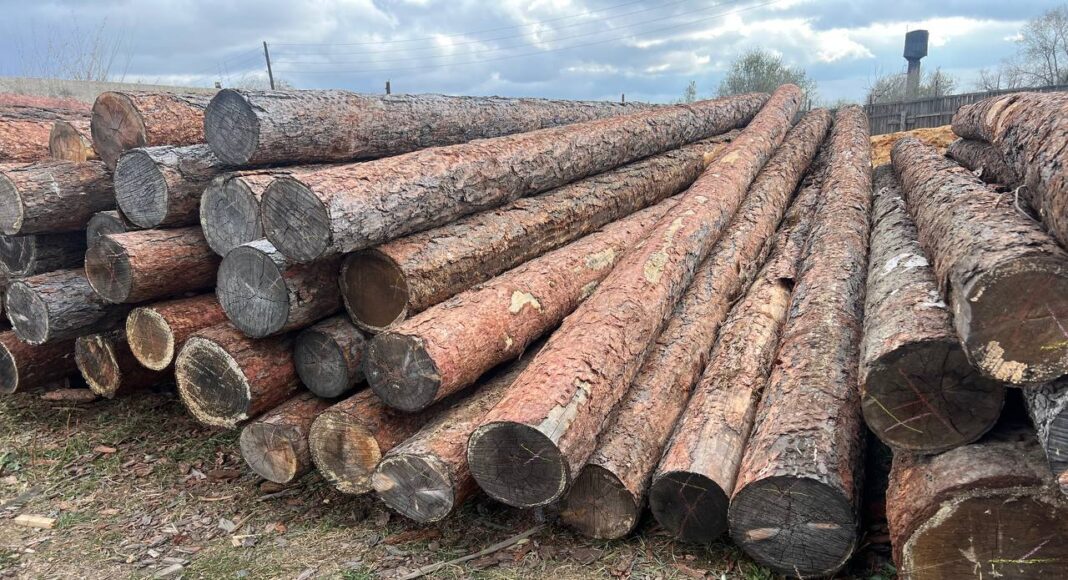 Лес, брус, пиломатериал. Фото: pulse19.ru