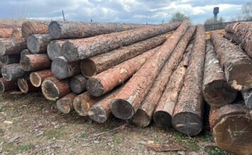 Лес, брус, пиломатериал. Фото: pulse19.ru