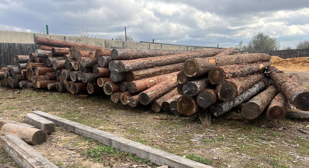 Лес, брус, пиломатериал. Фото: pulse19.ru Лес, брус, пиломатериал. Фото: pulse19.ru