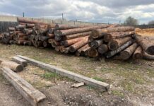 Лес, брус, пиломатериал. Фото: pulse19.ru