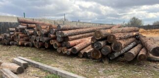 Лес, брус, пиломатериал. Фото: pulse19.ru