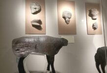 Фото Марии Орловой