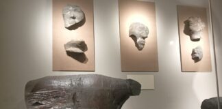 Фото Марии Орловой