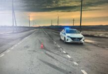 Фото Госавтоинспекции