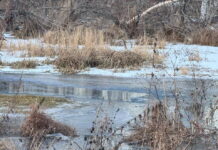 Фото ГСУ СК по РХ