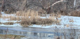 Фото ГСУ СК по РХ