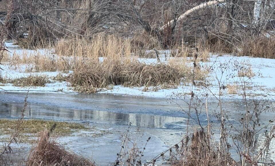 Фото ГСУ СК по РХ