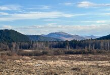 Фото ГСУ СК по РХ