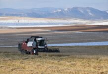 Фото из телеграм-канала Минсельхозпрода РХ