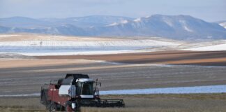 Фото из телеграм-канала Минсельхозпрода РХ