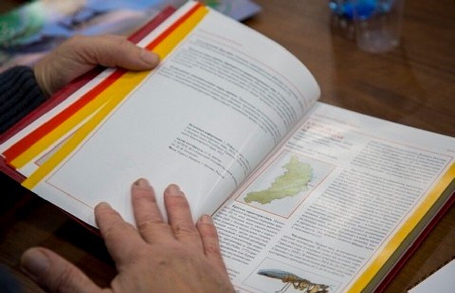 Фото из телеграм-канала Минприроды РХ